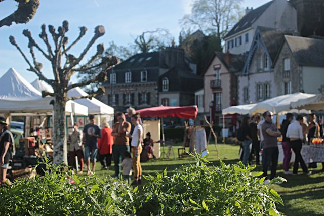 Photo du futur marché